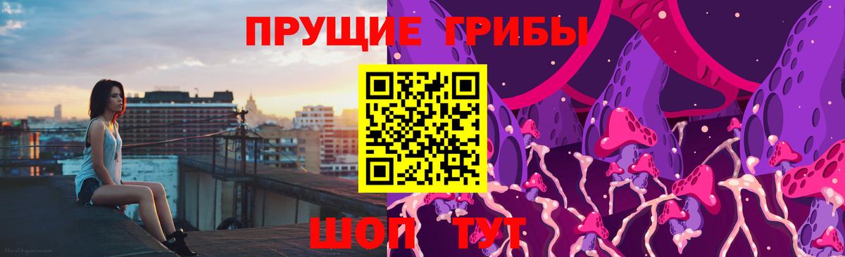 Галлюциногенные грибы Psilocybine cubensis Нефтекумск